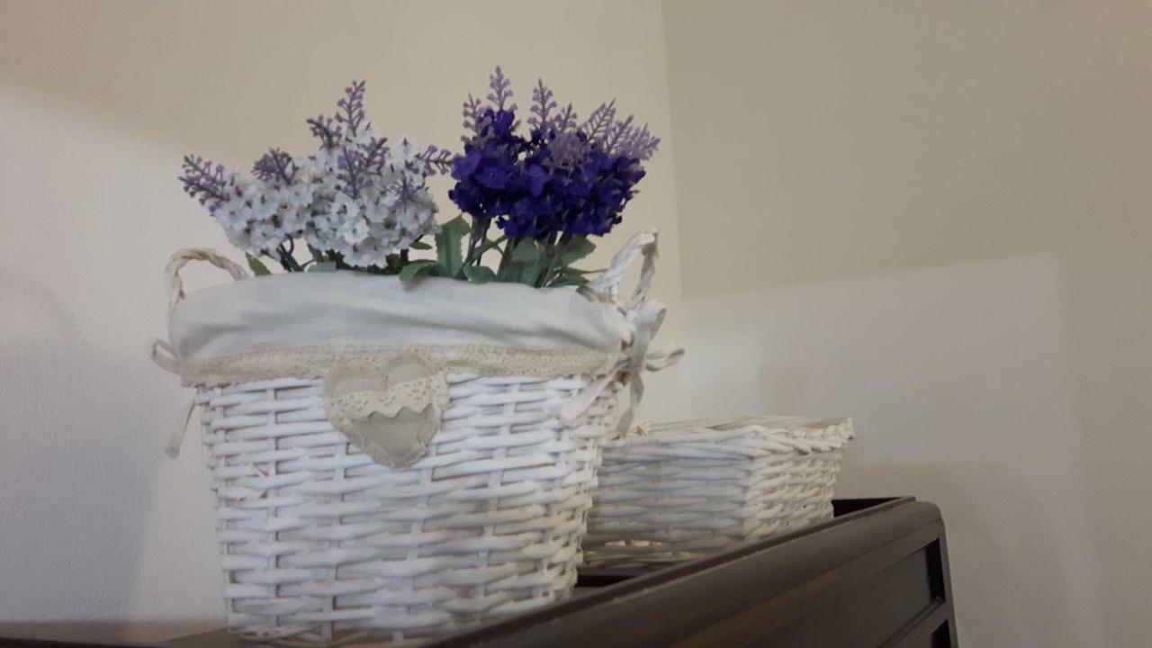 הוילה אלגהרו Little House מראה חיצוני תמונה